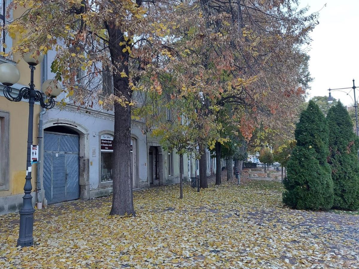 Via Tokaj Vendeghaz Apartment Satoraljaujhely ภายนอก รูปภาพ
