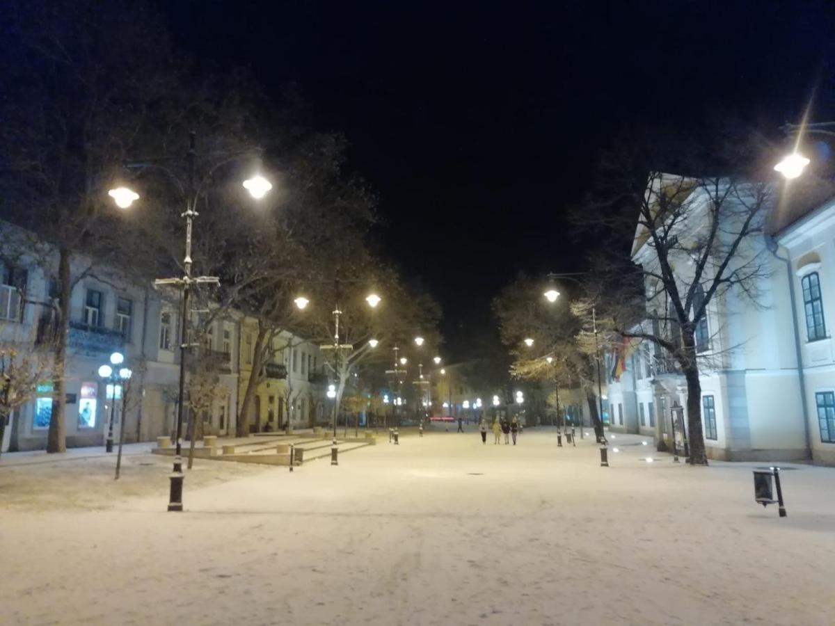 Via Tokaj Vendeghaz Apartment Satoraljaujhely ภายนอก รูปภาพ