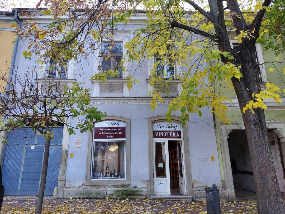 Via Tokaj Vendeghaz Apartment Satoraljaujhely ภายนอก รูปภาพ