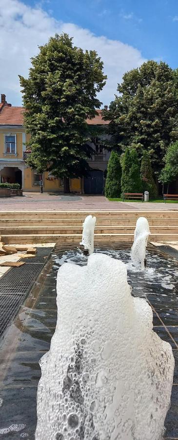 Via Tokaj Vendeghaz Apartment Satoraljaujhely ภายนอก รูปภาพ